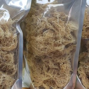 100% Organic <b>Dried</b> Sea <b>Moss</b> - Natural, Vegan Superfood for Skin and Health - Ms. Elite - Product Image 6