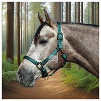 Nouveau design en nylon cheval licou à bas prix avec raccords SS mousqueton pour la vente en gros équestre