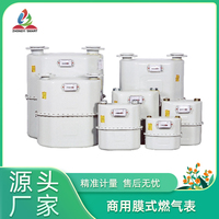 Compteur de gaz mécanique industriel commercial fiable diaphragme de haute précision joint sécurisé performance durable pour les entreprises