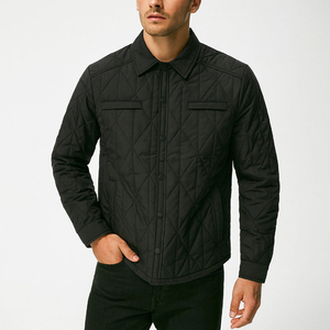 Veste matelassée pour homme en coton, à capuche, col montant, logo frontal, imperméable, écologique, de haute qualité, vente chaude - Product Image 1