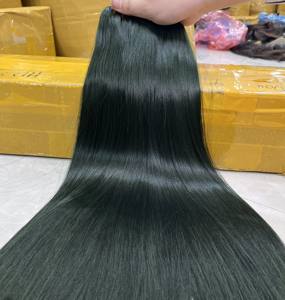 วิกผมดิบสีเขียวทรงตรงจากเวียดนามพร้อมที่ปิดและวิกผมลูกไม้ใส - Product Image 1