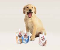 [Lait pour animaux de compagnie] Lait pour animaux de compagnie Boisson nutritive pour animaux de compagnie Soutien digestif Croissance des chiots et des chatons Nutrition Soutien sain Lait quotidien pour animaux de compagnie