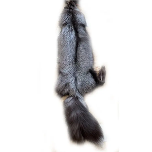 Peaux et cuirs kenyans de première qualité, prix de gros, prêts à l'exportation depuis Mombasa, grade 1, salés humides - Product Image 5