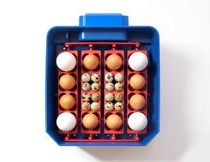 ตู้ฟักไข่ Lumia 16 Expert อัตโนมัติ สำหรับไข่ 16 ฟอง สินค้าใหม่ ตู้ฟักไข่และเครื่องฟักไข่จากมือแรก ผลิตในอิตาลี - Product Image 3