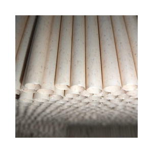 La mejor elección de pajitas de caña de azúcar sin PLA ecológicas y desechables | ViGi Farm Vietnam - Product Image 1