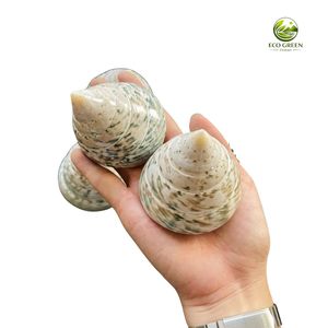 Conchas de Trochus Naturales, Conchas de Madreperla en Forma de Cono, Conchas Marinas Modernas Pulimentadas con Tacto Real para Manualidades y Decoración del Hogar de Estilo Costero - Product Image 3