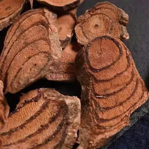 SUPERVENTAS AL POR MAYOR CAULIS SPATHOLOBI EXTRACTO DE HIERBAS NATURALES DE CALIDAD PREMIUM OFERTA CALIENTE SUMINISTRO A GRANEL LISTO PARA EXPORTAR - Product Image 1