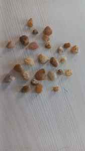 Proveedor regular de adoquines de piedra natural redondos lisos y guijarros pulidos más pequeños para la exportación - Product Image 2