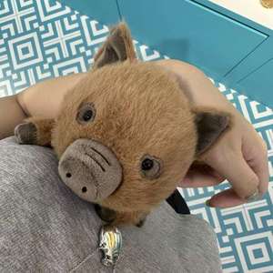 Divertido Juguete Inflable de Jabalí, Muñeco Relleno de Algodón PP Súper Suave, Regalo de Peluche Cómodo para Niños - Product Image 4