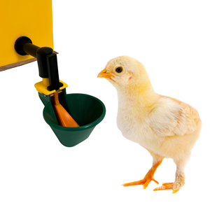 Gia cầm cup uống ly auto-điền vào nước chim cút gà vịt trang trại nhà sử dụng người uống hệ thống DC-RD32 + DC-CD10 - Product Image 6