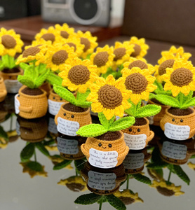 Pot de fleurs au crochet, jouets amigurumi faits à la main, cadeau avec rembourrage en coton biologique et laine pour anniversaire, Saint-Valentin, décoration de la maison - Product Image 1
