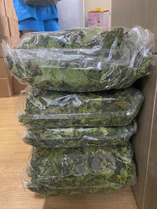 BEST SELLER Feuilles de papaye séchées coupées, utilisées pour la production de boissons et les besoins quotidiens de brassage, avec une offre stable du Vietnam - Product Image 2