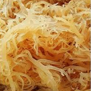 Wildcrafted <b>SEA</b> <b>MOSS</b> / IRISH <b>MOSS</b> / EUCHEUMA COTTONII Making Seamoss <b>Gel</b> From Vietnam, High Quality, Factory Price, Sustainable - Product Image 4