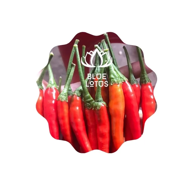 Голубая ферма лотоса Премиум вьетнамское Оригинальное замороженное красное пюре Чили с овощами-самый продаваемый товар.