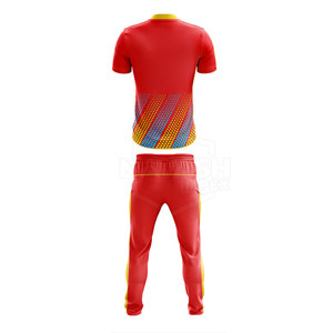 Uniforme Deportivo de Cricket de Poliéster 2025 con Diseño Moderno, Alta Calidad, Nuevo, Venta al por Mayor, Logotipo Personalizado - Product Image 2