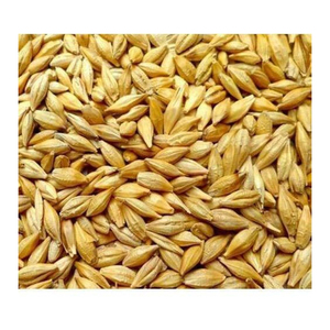 도매 천연 유기농 1 학년 동물 사료 보리 50 kg 가방 포장 보리 씨앗 시리얼 곡물 - Product Image 5