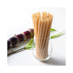 Nuevo producto 2024 Pajitas de caña de azúcar Pajitas desechables sin PLA de ViGi Farm Vietnam Export Worldwide - Product Image 1