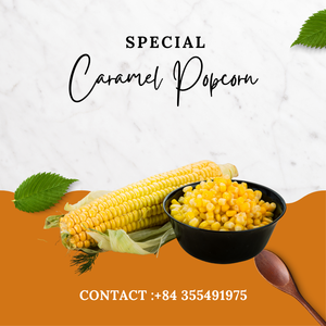 เมล็ดข้าวโพดหวานบรรจุกระป๋องคุณภาพสูง/ข้าวโพดแห้งคุณภาพสูงส่งออกจากเวียดนาม /ms.jessi - Product Image 4