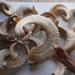 Todos los masticables naturales para perros con cuerno de carnero, golosinas saludables de larga duración que apoyan los dientes fuertes y las encías saludables - Product Image 1