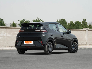 Nouvelle <span class=keywords><strong>voiture</strong></span> électrique B-YD Seagull 2026, autonomie de 305 km, transmission automatique, 5 portes, usage familial, batterie de 30-50 kWh - Product Image 4