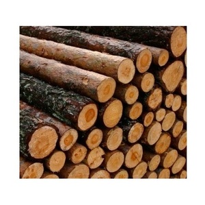Tuyệt vời Nguồn cung cấp Gỗ Thông Gỗ gỗ/Thông gỗ Lumber / Brazil thông gỗ các bản ghi trong các kích cỡ - Product Image 6