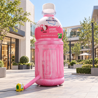 Bouteille de boisson gonflable géante, modèle de bouteille publicitaire personnalisée pour la promotion d'événements en plein air, affichage commercial