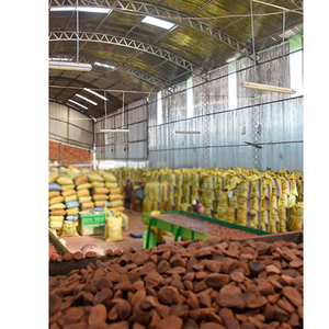 Organic Raw & Roasted <b>Brazil</b> <b>Nuts</b> Best Price on Premium Quality <b>Brazil</b> <b>Nuts</b> - Product Image 5