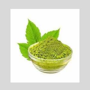 Polvo de extracto de Vasaka Natural 1.5% alcaloides Adhatoda Vasica para la salud pulmonar respiratoria embalaje de tambor Popular Japón salud - Product Image 1