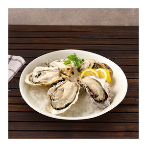 หอยนางรมสดจากฟาร์ม บรรจุภัณฑ์ขนาดใหญ่ คุณภาพสูง แช่แข็งพร้อมเปลือก น้ำหนัก 25 กก. - Product Image 4