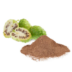 Vente en gros de poudre de fruit de noni pur de qualité supérieure au prix le plus bas fruits de noni en poudre pour approvisionnement en vrac - Product Image 1