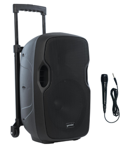 Meilleur haut-parleur portable 1000W pour fête, tout neuf, haut-parleurs de scène 1100W - Product Image 3