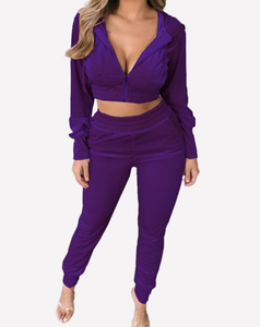 2024 femmes écologique hiver Jogging Fitness survêtement Sexy velours piste fermeture éclair sport costume Logo à capuche été grande taille - Product Image 6
