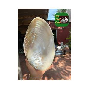 จานเสิร์ฟแบบดั้งเดิมที่มีเอกลักษณ์เฉพาะแม่ของไข่มุกงานหัตถกรรมเวียดนามเทคนิคขัดเงางานฝีมือจากธรรมชาติ - Product Image 4