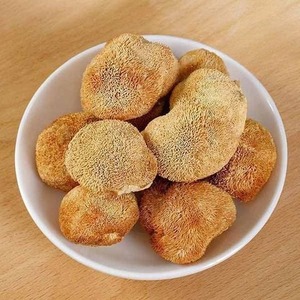 Hongo Melena de León Orgánico Seco, Hericium Erinaceus, Venta al por Mayor a Granel, Ms. Sophie - Product Image 1