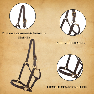 Ensemble de bride pour cheval de la meilleure qualité |   Bridon et licol en cuir anglais sur mesure |   Accessoires en laiton massif | Équipement d'équitation entièrement réglable - Product Image 4
