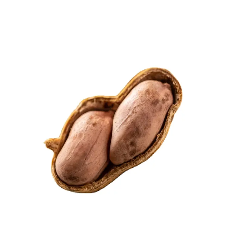 Snacks Nut Peanut Ground Nuts