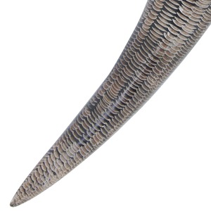 Corne à boire médiévale faite à la main Design en peau de serpent avec porte-chaîne en cuir cadeau pour les amis - Product Image 4