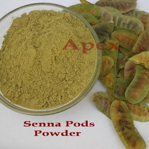 Polvo de cápsulas de senna, polvo de cápsulas de senna secas, polvo de cápsulas de Cassia Angustifolia, polvo de cápsulas de senna al por mayor - Product Image 1