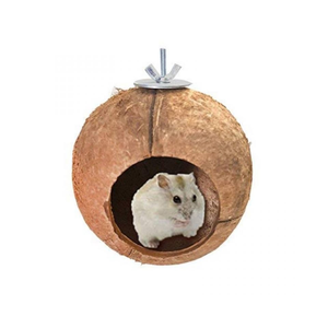 CASA DE CONCHA DE COCO DE CALIDAD PREMIUM PARA HAMSTER BEST SELLER PERRO JUGUETE NATURAL 2023 EN VIETNAM AL POR MAYOR - Product Image 6