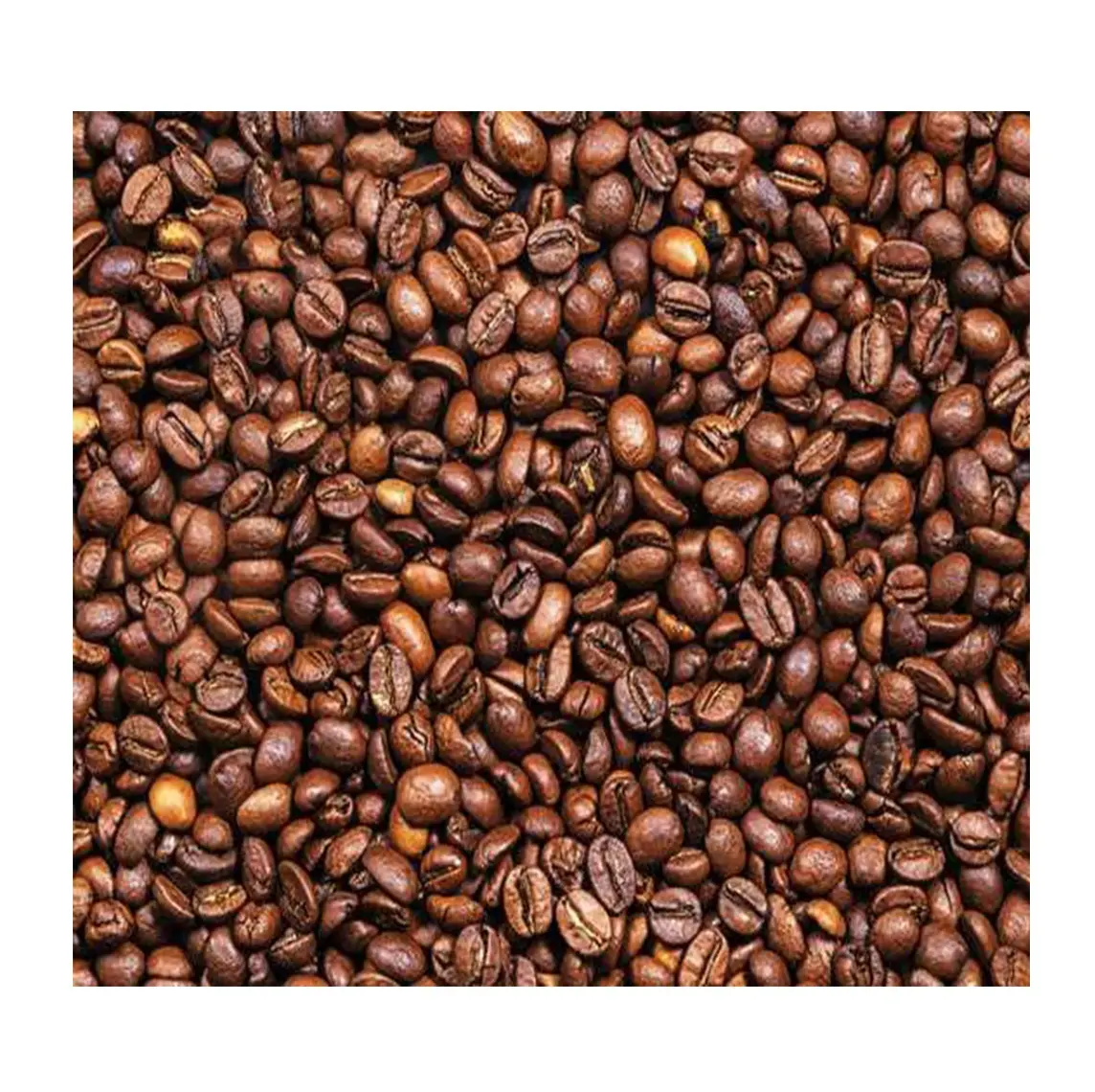 Grains de café vert Arabica de bonne qualité grains crus/torréfiés disponibles en vrac stock frais au prix de gros avec livraison rapide