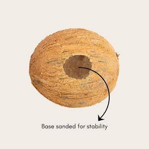 Bols ovales en coquille de noix de coco brute |   Bol à manger artisanal naturel |   Vaisselle durable en gros - Product Image 2