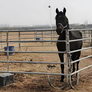 Paneles galvanizados de corral para caballos con valla eléctrica solar para granja ganadera Panel de caballos al por mayor - Product Image 3