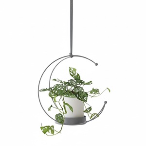 Ensemble de 2 jardinières suspendues en fer de style vintage, forme de capsule, pour plantes d'intérieur et d'extérieur, avec cordes de suspension pour la décoration du jardin - Product Image 5