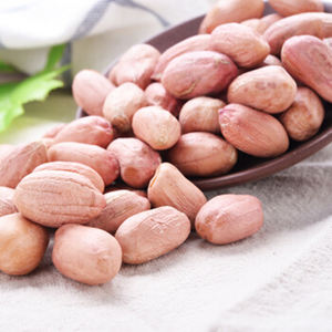 Cacahuetes Crudos de Calidad con Cáscara al por Mayor, Granos Secos Frescos de Cosecha con Piel Roja para Importadores, Tostadores y Fabricantes de Alimentos - Product Image 4
