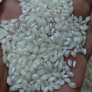 Arroz Blanco Orgánico Vietnamita Aborio Mediano, Lámina de Arroz Partido, Vida Útil de 2 Años, Cosecha 2025, Envases de 1kg / 5kg / 10kg / 25kg / 50kg - Product Image 1