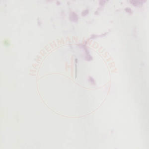 เสื้อกันหนาวมีฮู้ดของผู้ชายทำจากโพลีเอสเตอร์/ ผ้าฝ้ายออกแบบโลโก้ได้เอง - Product Image 6