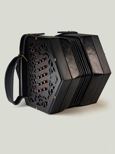 Acordeón Profesional para Música Folclórica y Tradicional - Product Image 2