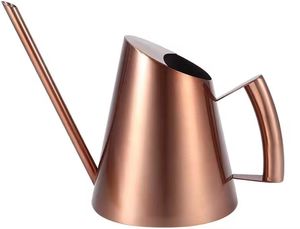 Arrosoir en métal Mini petit pot de pulvérisation d'eau avec buse détachable Arrosoir en métal intérieur et extérieur - Product Image 2