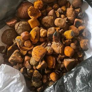 Cálculos biliares de buey de vaca de calidad a precios al por mayor directos de proveedores y exportadores confiables - Product Image 1