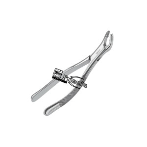 Forceps d'extraction Cryer pour incisives inférieures, modèle 151A, manuel, haute qualité, acier inoxydable allemand, approuvé CE, réutilisable, classe II - Product Image 4